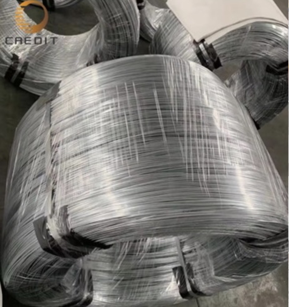 655bcdae-7693-4ee5-9f55-243706cbe663_resorte_de_alambre_de_acero_galvanizado_revestido_con_plástico_producto_final.jpg